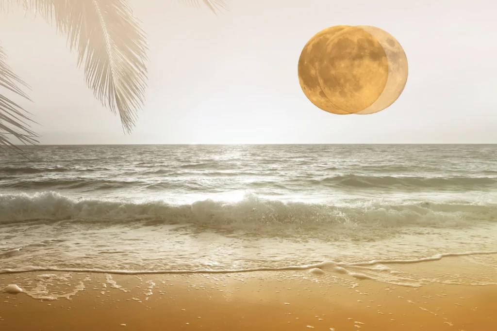 sahil ve ay