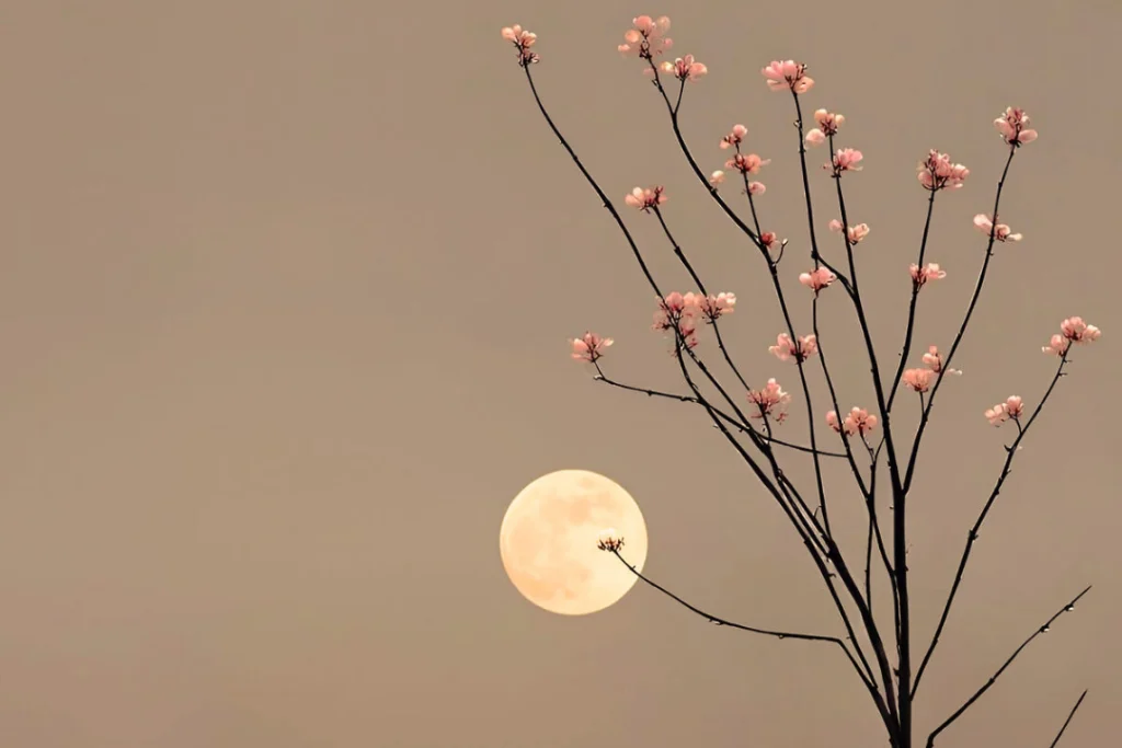 flower moon